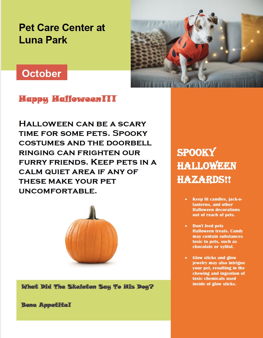 October 2024